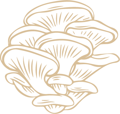 mushroom icon png